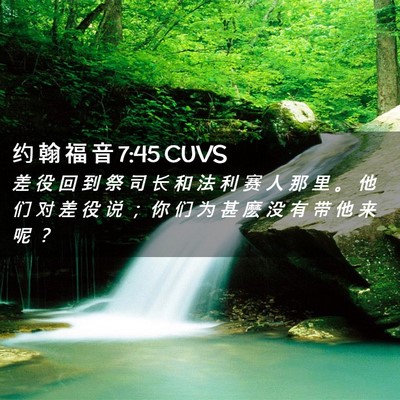 Picture 02 - 约 翰 福 音 7:45 CUVS - 差 役 回 到 祭 司 长 和 法 利 赛 人 - Bible Verse Picture