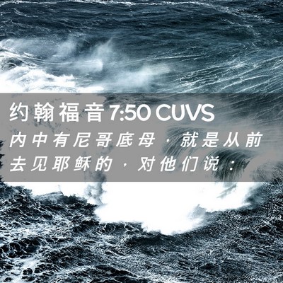 Picture 02 - 约 翰 福 音 7:50 CUVS - 内 中 有 尼 哥 底 母 ， 就 是 从 前 - Bible Verse Picture