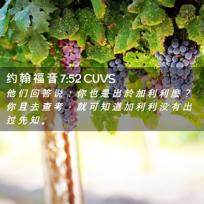 Picture 02 - 约 翰 福 音 7:52 CUVS - 他 们 回 答 说 ： 你 也 是 出 於 加 - Bible Verse Picture