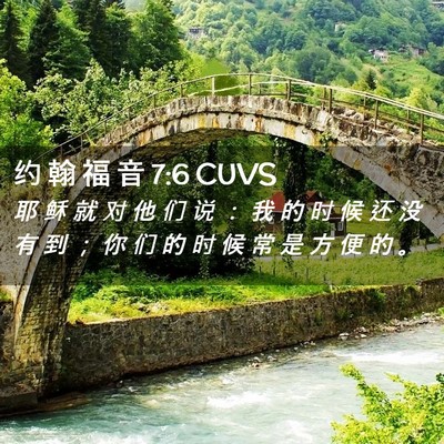 Picture 02 - 约 翰 福 音 7:6 CUVS - 耶 稣 就 对 他 们 说 ： 我 的 时 候 - Bible Verse Picture