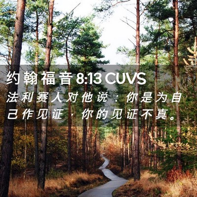 Picture 02 - 约 翰 福 音 8:13 CUVS - 法 利 赛 人 对 他 说 ： 你 是 为 自 - Bible Verse Picture
