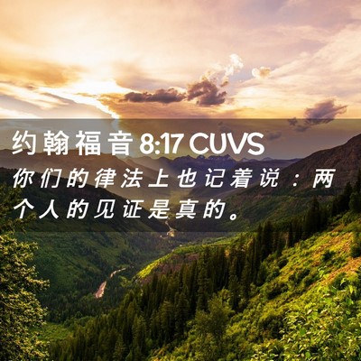 Picture 02 - 约 翰 福 音 8:17 CUVS - 你 们 的 律 法 上 也 记 着 说 ： 两 - Bible Verse Picture