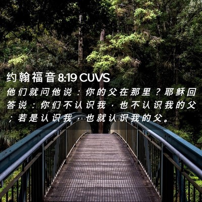 Picture 02 - 约 翰 福 音 8:19 CUVS - 他 们 就 问 他 说 ： 你 的 父 在 那 - Bible Verse Picture
