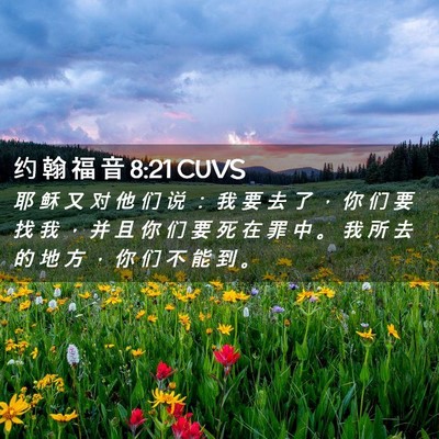 Picture 02 - 约 翰 福 音 8:21 CUVS - 耶 稣 又 对 他 们 说 ： 我 要 去 了 - Bible Verse Picture