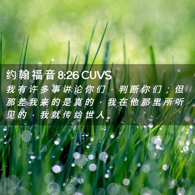 Picture 02 - 约 翰 福 音 8:26 CUVS - 我 有 许 多 事 讲 论 你 们 ， 判 断 - Bible Verse Picture