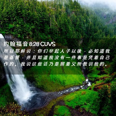 Picture 02 - 约 翰 福 音 8:28 CUVS - 所 以 耶 稣 说 ： 你 们 举 起 人 子 - Bible Verse Picture