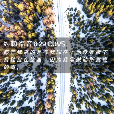 Picture 02 - 约 翰 福 音 8:29 CUVS - 那 差 我 来 的 是 与 我 同 在 ； 他 - Bible Verse Picture