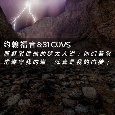 Picture 02 - 约 翰 福 音 8:31 CUVS - 耶 稣 对 信 他 的 犹 太 人 说 ： 你 - Bible Verse Picture