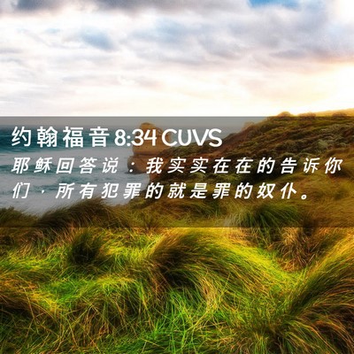 Picture 02 - 约 翰 福 音 8:34 CUVS - 耶 稣 回 答 说 ： 我 实 实 在 在 的 - Bible Verse Picture