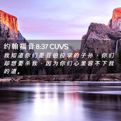Picture 02 - 约 翰 福 音 8:37 CUVS - 我 知 道 你 们 是 亚 伯 拉 罕 的 子 - Bible Verse Picture