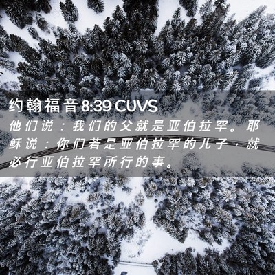 Picture 02 - 约 翰 福 音 8:39 CUVS - 他 们 说 ： 我 们 的 父 就 是 亚 伯 - Bible Verse Picture