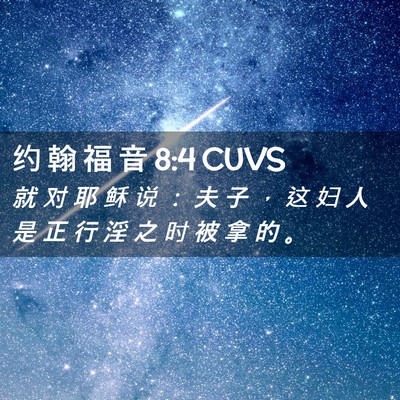 Picture 02 - 约 翰 福 音 8:4 CUVS - 就 对 耶 稣 说 ： 夫 子 ， 这 妇 人 - Bible Verse Picture