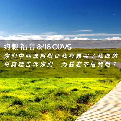 Picture 02 - 约 翰 福 音 8:46 CUVS - 你 们 中 间 谁 能 指 证 我 有 罪 呢 - Bible Verse Picture