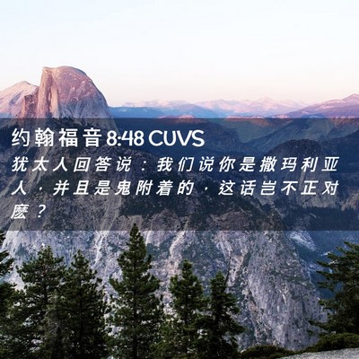 Picture 02 - 约 翰 福 音 8:48 CUVS - 犹 太 人 回 答 说 ： 我 们 说 你 是 - Bible Verse Picture