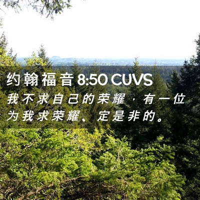 Picture 02 - 约 翰 福 音 8:50 CUVS - 我 不 求 自 己 的 荣 耀 ， 有 一 位 - Bible Verse Picture