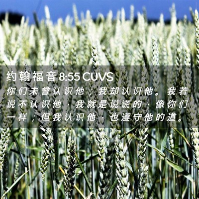 Picture 02 - 约 翰 福 音 8:55 CUVS - 你 们 未 曾 认 识 他 ； 我 却 认 识 - Bible Verse Picture