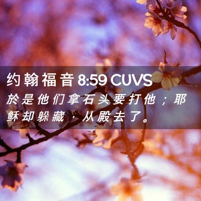 Picture 02 - 约 翰 福 音 8:59 CUVS - 於 是 他 们 拿 石 头 要 打 他 ； 耶 - Bible Verse Picture