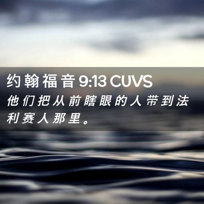 Picture 02 - 约 翰 福 音 9:13 CUVS - 他 们 把 从 前 瞎 眼 的 人 带 到 法 - Bible Verse Picture