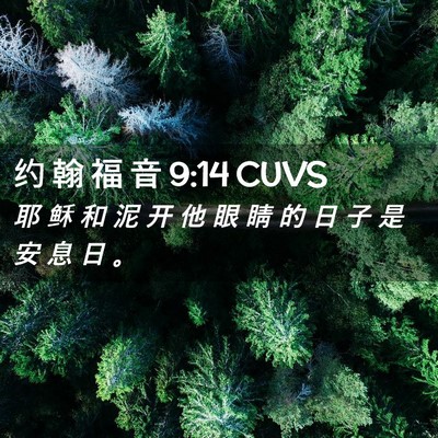Picture 02 - 约 翰 福 音 9:14 CUVS - 耶 稣 和 泥 开 他 眼 睛 的 日 子 是 - Bible Verse Picture
