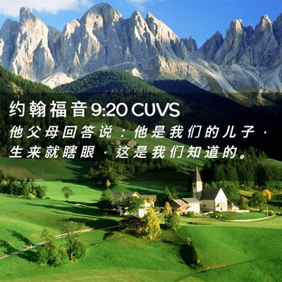 Picture 02 - 约 翰 福 音 9:20 CUVS - 他 父 母 回 答 说 ： 他 是 我 们 的 - Bible Verse Picture