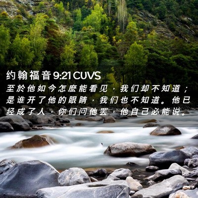 Picture 02 - 约 翰 福 音 9:21 CUVS - 至 於 他 如 今 怎 麽 能 看 见 ， 我 - Bible Verse Picture