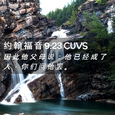 Picture 02 - 约 翰 福 音 9:23 CUVS - 因 此 他 父 母 说 ： 他 已 经 成 了 - Bible Verse Picture