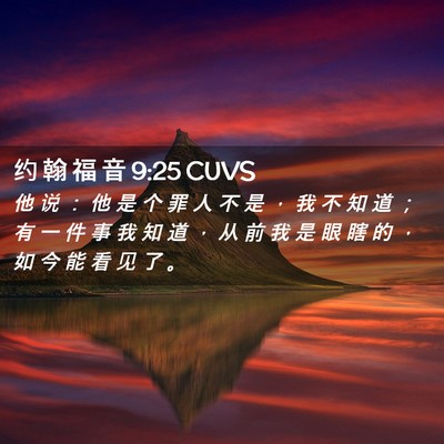 Picture 02 - 约 翰 福 音 9:25 CUVS - 他 说 ： 他 是 个 罪 人 不 是 ， 我 - Bible Verse Picture