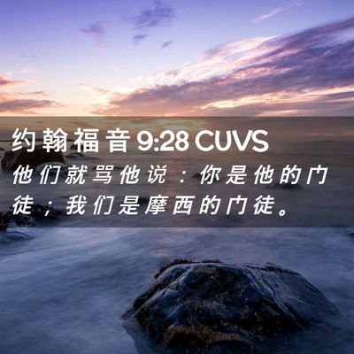 Picture 02 - 约 翰 福 音 9:28 CUVS - 他 们 就 骂 他 说 ： 你 是 他 的 门 - Bible Verse Picture