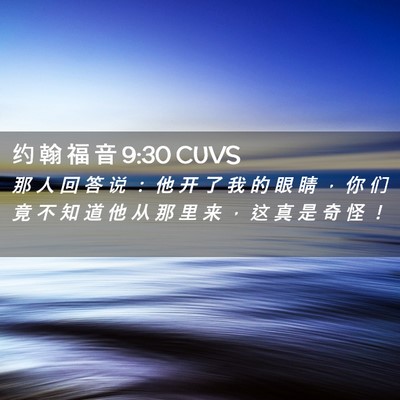 Picture 02 - 约 翰 福 音 9:30 CUVS - 那 人 回 答 说 ： 他 开 了 我 的 眼 - Bible Verse Picture