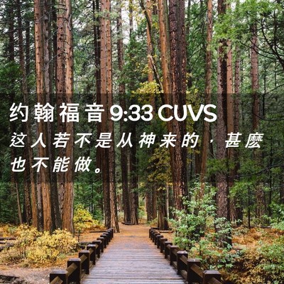 Picture 02 - 约 翰 福 音 9:33 CUVS - 这 人 若 不 是 从 神 来 的 ， 甚 麽 - Bible Verse Picture