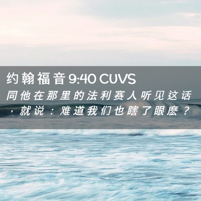 Picture 02 - 约 翰 福 音 9:40 CUVS - 同 他 在 那 里 的 法 利 赛 人 听 见 - Bible Verse Picture