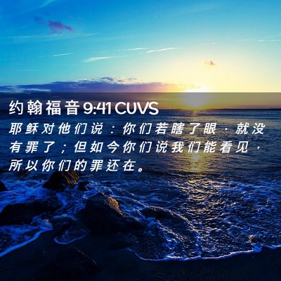 Picture 02 - 约 翰 福 音 9:41 CUVS - 耶 稣 对 他 们 说 ： 你 们 若 瞎 了 - Bible Verse Picture