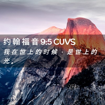 Picture 02 - 约 翰 福 音 9:5 CUVS - 我 在 世 上 的 时 候 ， 是 世 上 的 - Bible Verse Picture