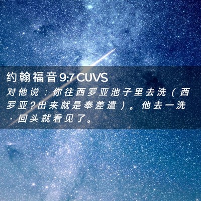 Picture 02 - 约 翰 福 音 9:7 CUVS - 对 他 说 ： 你 往 西 罗 亚 池 子 里 - Bible Verse Picture
