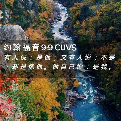 Picture 02 - 约 翰 福 音 9:9 CUVS - 有 人 说 ： 是 他 ； 又 有 人 说 ； - Bible Verse Picture