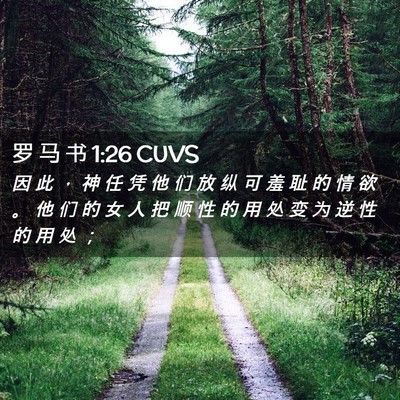 Picture 02 - 罗 马 书 1:26 CUVS - 因 此 ， 神 任 凭 他 们 放 纵 可 羞 - Bible Verse Picture
