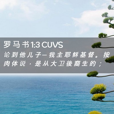 Picture 02 - 罗 马 书 1:3 CUVS - 论 到 他 儿 子 ─ 我 主 耶 稣 基 督 - Bible Verse Picture
