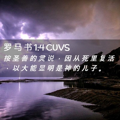 Picture 02 - 罗 马 书 1:4 CUVS - 按 圣 善 的 灵 说 ， 因 从 死 里 复 - Bible Verse Picture