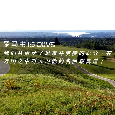 Picture 02 - 罗 马 书 1:5 CUVS - 我 们 从 他 受 了 恩 惠 并 使 徒 的 - Bible Verse Picture