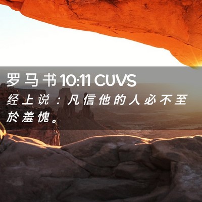 Picture 02 - 罗 马 书 10:11 CUVS - 经 上 说 ： 凡 信 他 的 人 必 不 至 - Bible Verse Picture