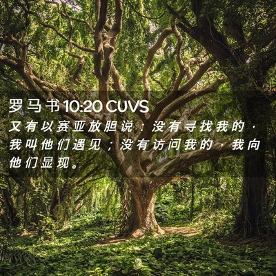 Picture 02 - 罗 马 书 10:20 CUVS - 又 有 以 赛 亚 放 胆 说 ： 没 有 寻 - Bible Verse Picture