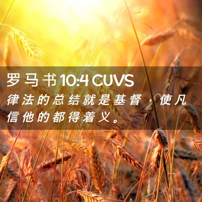 Picture 02 - 罗 马 书 10:4 CUVS - 律 法 的 总 结 就 是 基 督 ， 使 凡 - Bible Verse Picture