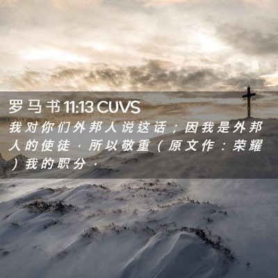 Picture 02 - 罗 马 书 11:13 CUVS - 我 对 你 们 外 邦 人 说 这 话 ； 因 - Bible Verse Picture