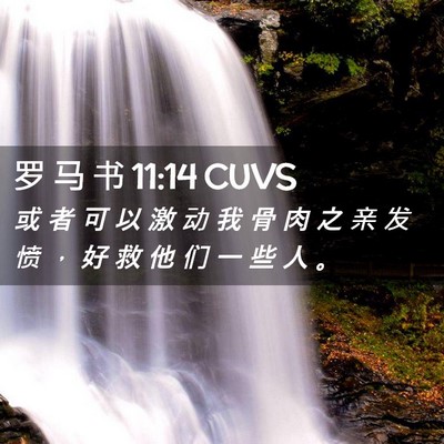 Picture 02 - 罗 马 书 11:14 CUVS - 或 者 可 以 激 动 我 骨 肉 之 亲 发 - Bible Verse Picture