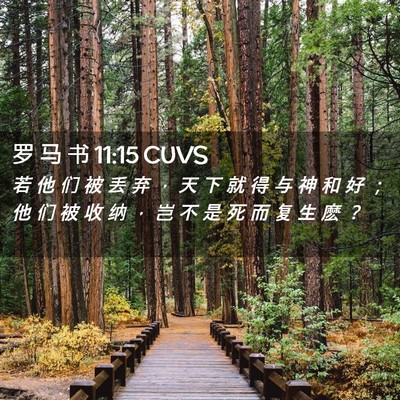 Picture 02 - 罗 马 书 11:15 CUVS - 若 他 们 被 丢 弃 ， 天 下 就 得 与 - Bible Verse Picture