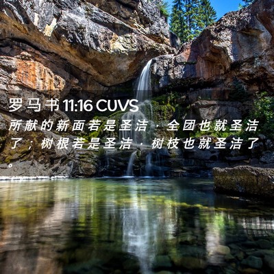 Picture 02 - 罗 马 书 11:16 CUVS - 所 献 的 新 面 若 是 圣 洁 ， 全 团 - Bible Verse Picture