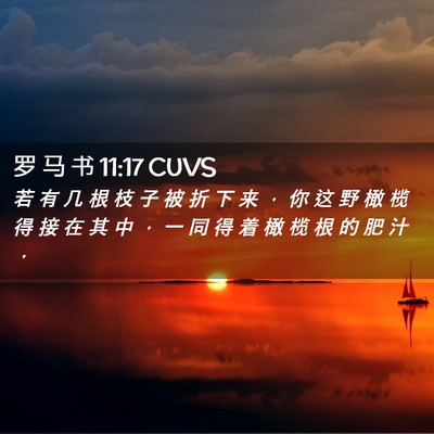 Picture 02 - 罗 马 书 11:17 CUVS - 若 有 几 根 枝 子 被 折 下 来 ， 你 - Bible Verse Picture