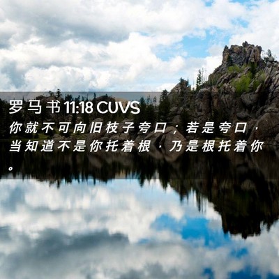 Picture 02 - 罗 马 书 11:18 CUVS - 你 就 不 可 向 旧 枝 子 夸 口 ； 若 - Bible Verse Picture