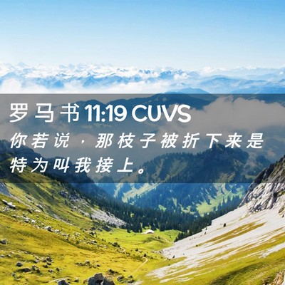 Picture 02 - 罗 马 书 11:19 CUVS - 你 若 说 ， 那 枝 子 被 折 下 来 是 - Bible Verse Picture