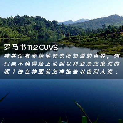 Picture 02 - 罗 马 书 11:2 CUVS - 神 并 没 有 弃 绝 他 预 先 所 知 道 - Bible Verse Picture